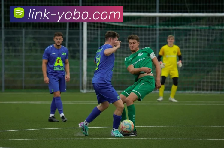 友博体育APP 封面图